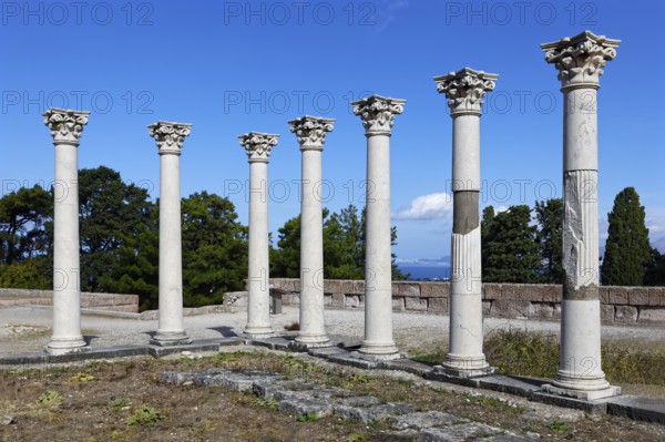 Middle terrace, Apollo temple columns, Asclepieion, Latin Aescupium, three terraces, place of worship of Asclepios, god of healing art, ancient hospital, archaeological excavation 1902-1904, island of Kos, Dodecanese islands, Greece, eastern Adriatic, Mediterranean