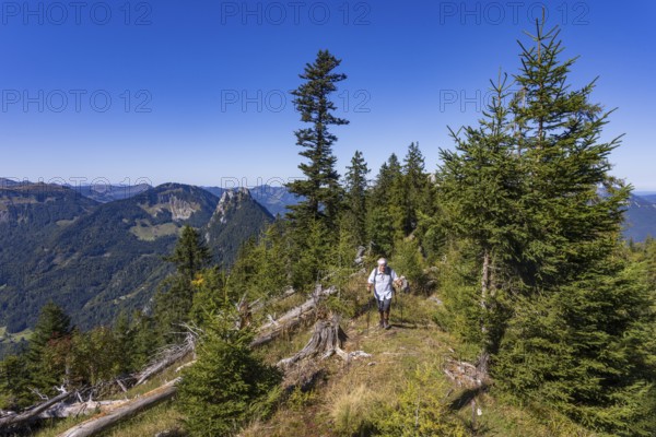 Hikers on the way to Rettenkogel, Postalm, Osterhorn Group, Salzkammergut, Province of Salzburg, Austria