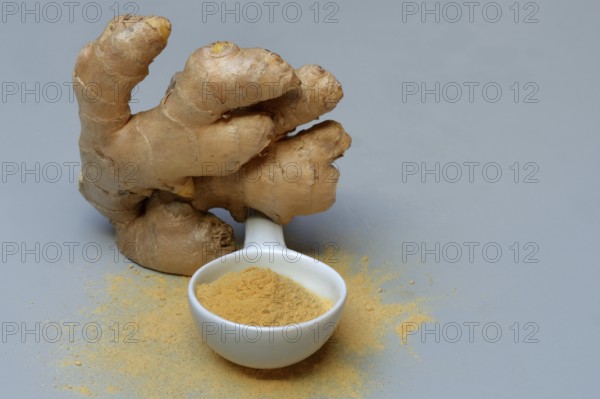 Ginger root and ginger powder in spoon, Zingiber officinale