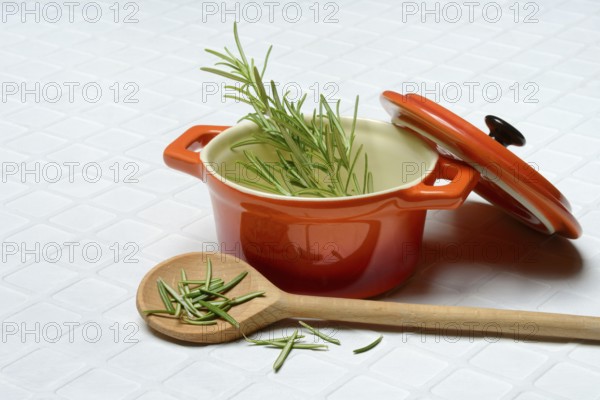 Rosemary, rosemary sprig on cooking spoon with cooking pot
