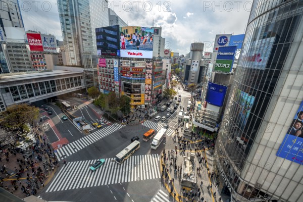Modern houses with colorful neon signs and large road intersection, Shibuya Crossing from above, crowd at crossroads with crosswalks, Shibuya, Tokyo, Japan