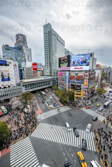 Modern houses with colorful neon signs and large road intersection, Shibuya Crossing from above, crowd at crossroads with crosswalks, Shibuya, Tokyo, Japan
