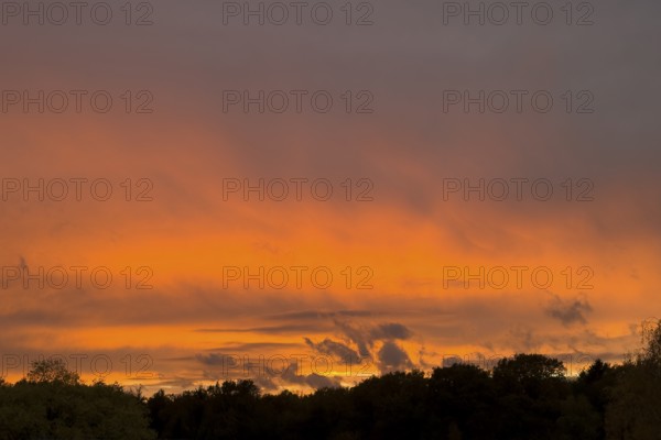 Fiery red evening sky with gray Cumulus fractus clouds above forest edge, Nimbostratus above, international