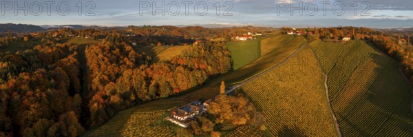 Panorama, aerial view, typical landscape in autumn with vineyards, South Styrian hills, South Styrian wine route, Styria, Austria