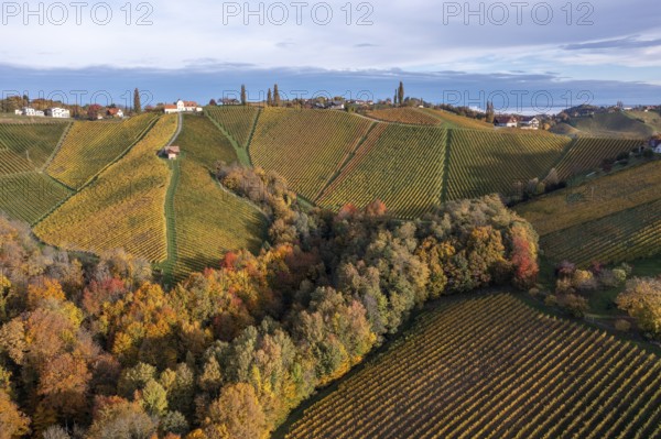 Aerial view, typical landscape in autumn with vineyards, South Styrian hills, South Styrian wine route, Styria, Austria