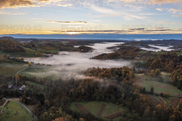 Aerial view, sunrise, typical landscape in autumn with vineyards, South Styrian hills, South Styrian wine route, Styria, Austria