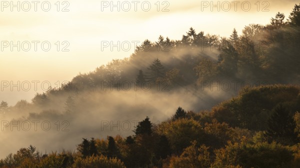 Sunrise, typical landscape in autumn with vineyards and fog, South Styrian hills, South Styrian wine route, Styria, Austria