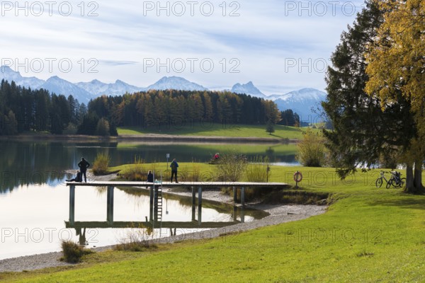 People walk along the jetty with views of Lake Forggensee and surrounding mountains, autumn trees in the background, near Roßhaupten, Ostallgäu, Allgäu, Bavaria, Germany