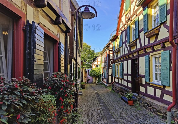 Enge gasse with half-timbered houses in the old town of Unkel, Rotweinstadt, Neuwied district, Rhineland-Palatinate, Lower Middle Rhine, Rhineland, Germany