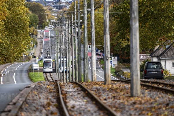 Bogestra tramway, line 305, on the Wattenscheider Hellweg, tram line in the middle of the street, North Rhine-Westphalia, Germany
