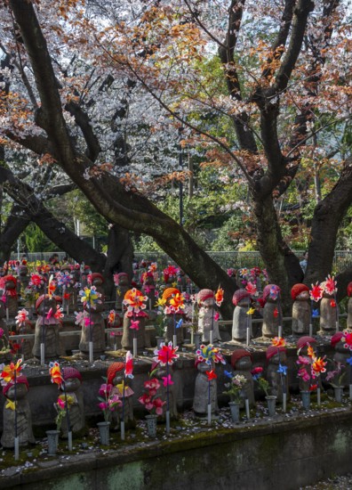 Jizo statues with red crocheted caps, guardian deities for deceased children, Unborn Children Garden, Zojoji temple, Buddhist temple complex, cherry blossom, Tokyo, Japan