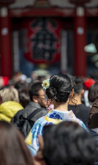 Young Japanese woman wearing kimono surrounded by numerous visitors on Nakamise-dori shopping street, Cherry Blossom, Asakusa Shrine or Senso-ji Temple, Buddhist temple complex, Asakusa, Tokyo, Japan