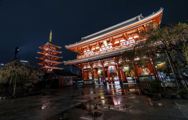 Illuminated five-story pagoda and Hozomon treasure chamber gate of Asakusa Shrine or Senso-ji Temple, at night, Buddhist temple complex, Asakusa, Tokyo, Japan