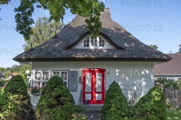 Residential house with thatched roof, Ahrenshoop, Darß, Mecklenburg-Western Pomerania, Germany