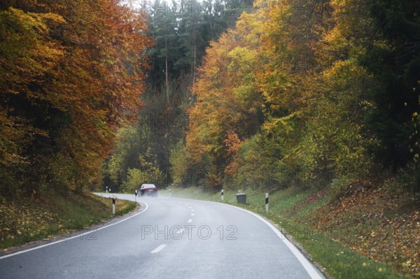 Mixed forest in autumn colors in Franconia on the B2 Nuremberg-Bayreuth, Upper Franconia, Bavaria, Germany