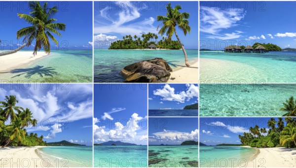 Collage of tropical islands with beach and palm trees, paradise with blue cloudy sky, turquoise water, green plant, sandy shore, wallpaper illustration, template or banner for ecology, sustainability, landscape and travel, AI generated