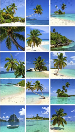 Collage of tropical islands with beach and palm trees, paradise with blue cloudy sky, turquoise water, green plant, sandy shore, wallpaper illustration, template or banner for ecology, sustainability, landscape and travel, AI generated