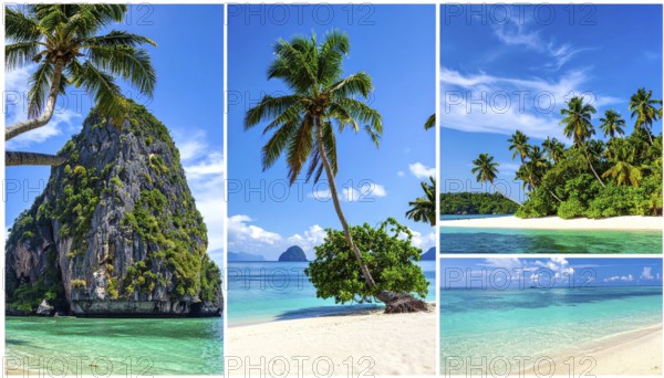 Collage of tropical islands with beach and palm trees, paradise with blue cloudy sky, turquoise water, green plant, sandy shore, wallpaper illustration, template or banner for ecology, sustainability, landscape and travel, AI generated