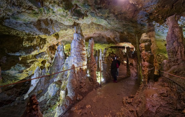 Nebelhöhle, stalactite cave in the Swabian Jura, stalactites, stalactite forest, interior view, Lichtenstein, Baden-Württemberg, Germany