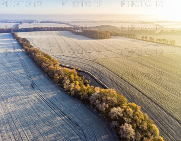 Bird Eye Perspective of Frost Covered Farmland. Seasonal Agricultural Scenery, winter and autumn scene, blue sky with golden light at sunrise, AI generated