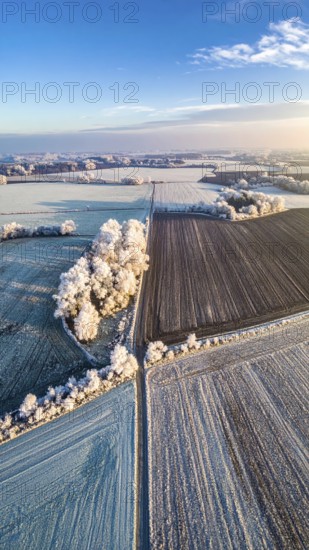 Bird Eye Perspective of Frost Covered Farmland. Seasonal Agricultural Scenery, winter and autumn scene, blue sky with golden light at sunrise, AI generated