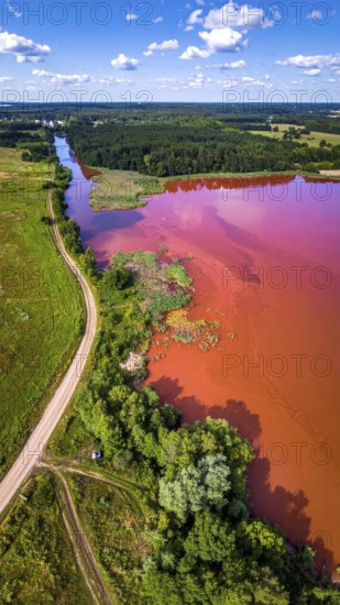 Red algae plant on the lake. abstract ecology nature concept, wild landscape with vibrant red colored water and green forest on a sunny day in summer, Aerial view, wilderness nature with no people around, AI generated