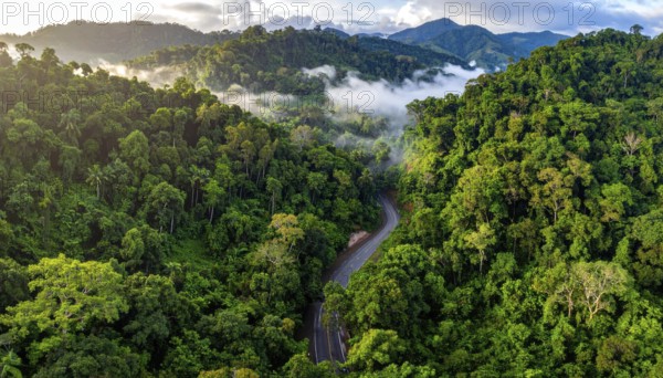 Banner background of tropical forest landscape scene, green wild jungle, cloudy sky at morning, concept and symbol of environmental ecology and sustainable energy, AI generated