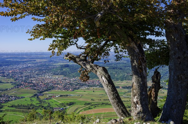 Picturesque scenery on the eaves of the Swabian Jura near Olgafels on Rossfeld in Metzingen-Glems, Baden-Württemberg, Germany