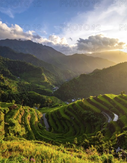 Early morning light bathes Philippines rice terraces cascading down mountain slopes, beautiful golden light, AI generated