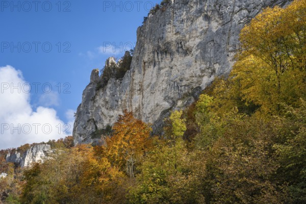 Distinctive Jurassic limestone cliffs in the upper Danube Valley, surrounded by autumn vegetation, Sigmaringen district, Baden-Württemberg, Germany