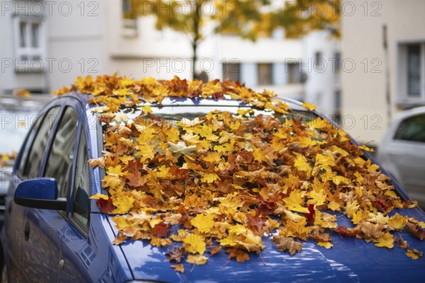 A car is covered with a thick layer of autumn leaves in autumn, Wuppertal, Germany