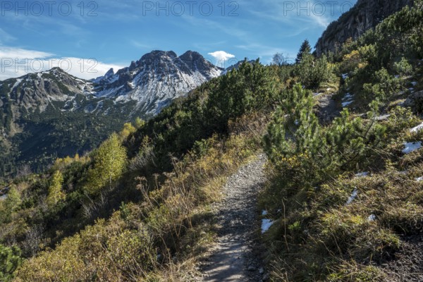 Hiking trail around the pulpit in autumn vegetation, in the back mountains of the Allgäu Alps, Allgäu, Vorarlberg, Austria