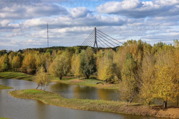 Wesel, Lower Rhine, North Rhine-Westphalia, Germany - autumn on the Lippe, trees with colorful autumn leaves in the restored river floodplain area of Büdericher Insel above the mouth of the Lippe into the Rhine, Lippe estuary nature reserve, in the back the Lower Rhine bridge Wesel