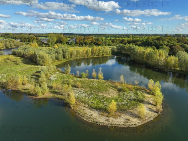 Wesel, Lower Rhine, North Rhine-Westphalia, Germany - autumn on the Lippe, trees with colorful autumn leaves in the restored river floodplain area of Büdericher Insel above the mouth of the Lippe into the Rhine, Lippe estuary nature reserve