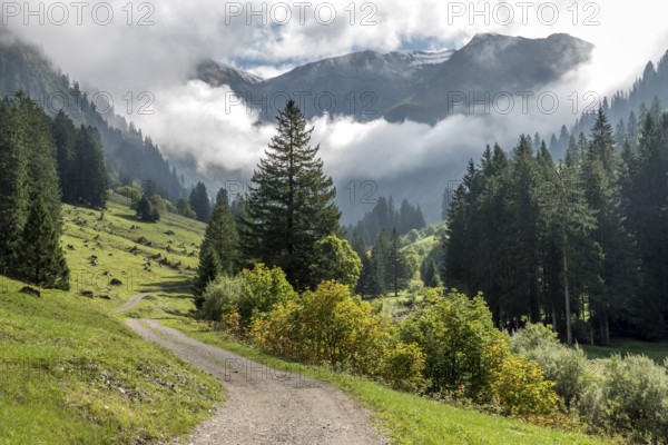 Hiking trail in the Dietersbachtal from Gerstruben to Alpe Dietersbach, Nebelschwanden hang in the valley, Oberstdorf, Allgäu Alps, Oberallgäu, Bavaria, Germany