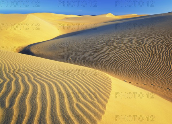 Sand dunes, Maspalomas, Playa del Ingles, Gran Canaria, Canary Islands, Spain