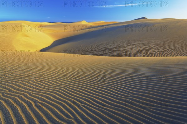 Sand dunes, Maspalomas, Playa del Ingles, Gran Canaria, Canary Islands, Spain