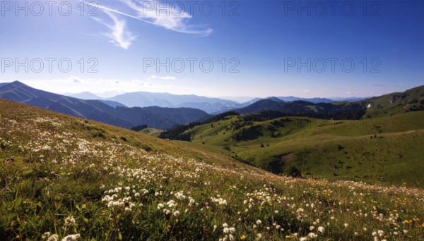 Fresh summer hilly Landscape with blooming Meadow, green plants, Blue Sky with cloudy sky, serene nature background, AI generated