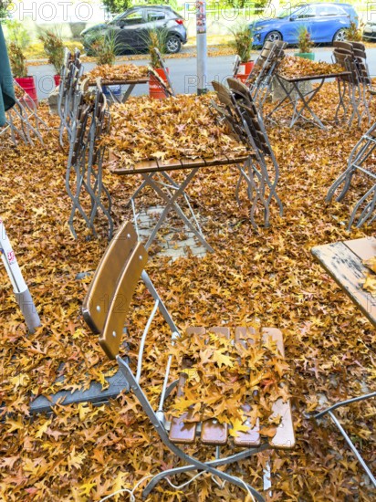 Autumn in town, beer garden, pub terrace under deciduous trees, swamp oak, floor and table chairs are covered with fallen leaves, Essen, North Rhine-Westphalia