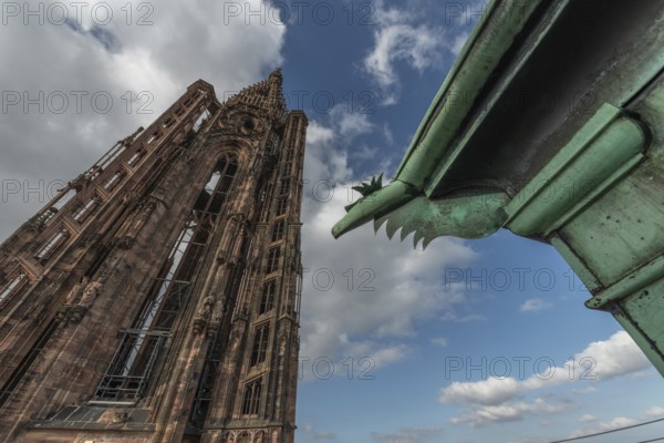 Strasbourg's Gothic cathedral stands majestically under a cloudy sky. In the background is an ornate and detailed iron gargoyle, which gives the scene a unique charm. Bas Rhin, Alsace, France