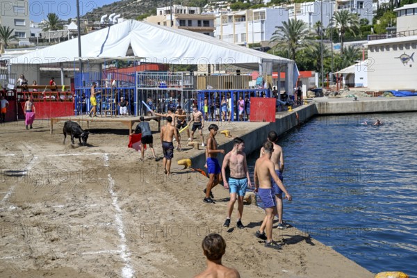 Bous a la Mar Fair, in English Bulls in the Sea, Bullfighting, Javea or Xàbia, Alicante Province, Comunidad Valenciana, Spain