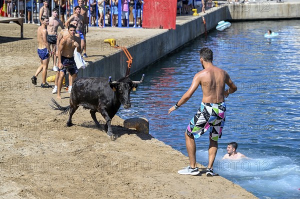 Bous a la Mar Fair, in English Bulls in the Sea, Bullfighting, Javea or Xàbia, Alicante Province, Comunidad Valenciana, Spain