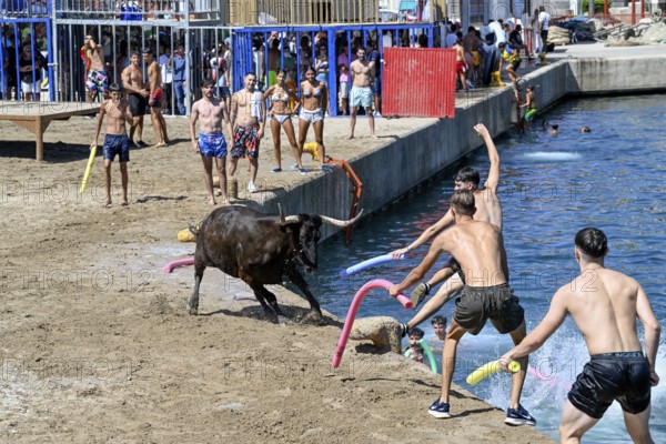 Bous a la Mar Fair, in English Bulls in the Sea, Bullfighting, Javea or Xàbia, Alicante Province, Comunidad Valenciana, Spain