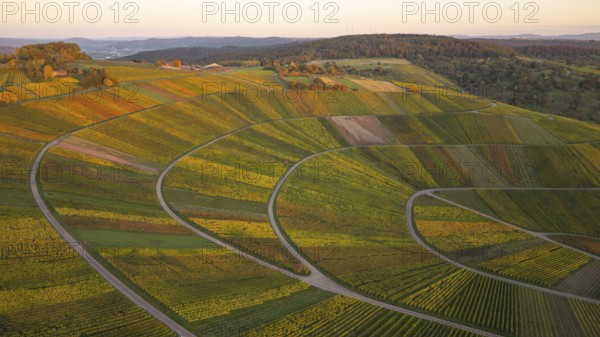 Golden autumn over the vineyards of Weinstadt Beutelsbach, Baden-Württemberg, Germany
