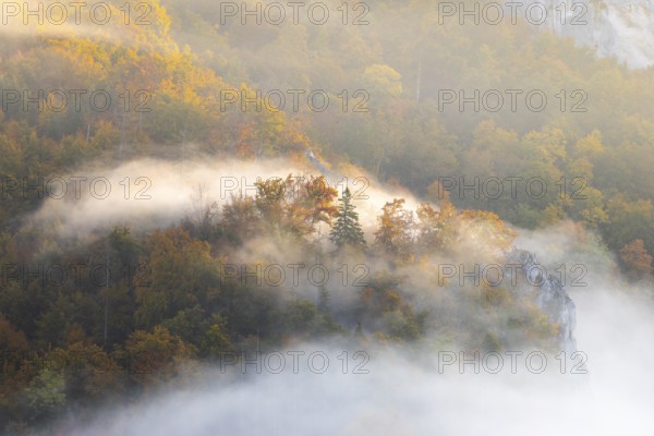 View from the Knopfmacherfelsen into the Danube valley, limestone rock, rock face, mixed forest, autumn colours, fog, autumn, Fridingen, Danube valley, Upper Danube nature park Park, Baden-Württemberg, Germany