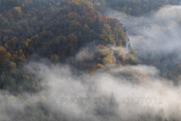 View from the Knopfmacherfelsen into the Danube valley, mixed forest, autumn colours, fog, autumn, Fridingen, Danube valley, Upper Danube nature park Park, Baden-Württemberg, Germany