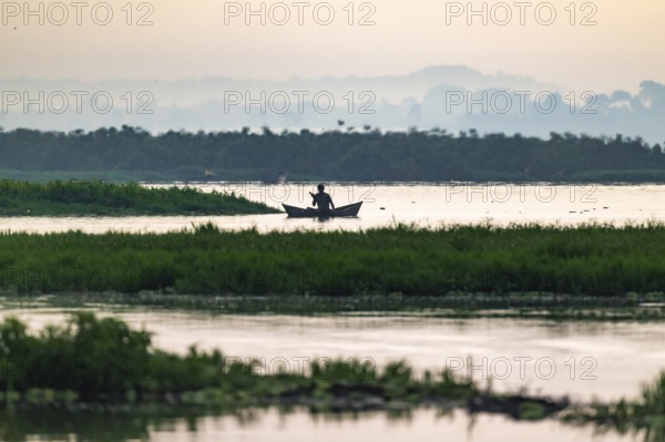 Fisherman in a rowing boat, silhouette, morning mood, Mabamba Swamp, Lake Victoria, Uganda