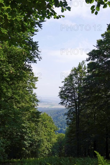 Beautiful landscape in summer, Upper Lusatia, Saxony, Germany