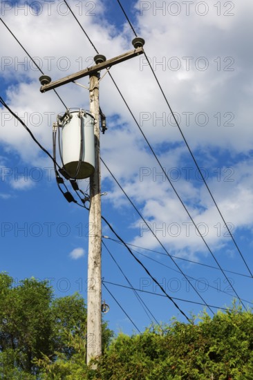 Electricity transformer, high voltage transmission wires, internet, telephone cables attached to wooden utility pole in Thuja - Cedar hedge, Quebec, Canada