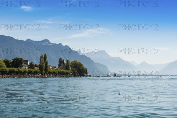 Panorama, lakeside town, Vevey, Lake Geneva, Lac Léman, Canton of Vaud, Switzerland